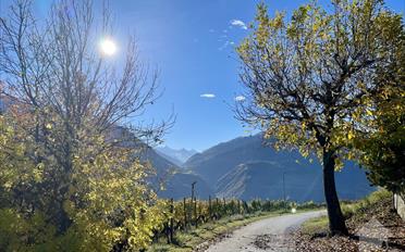 Residential building 9 rooms - image - 7