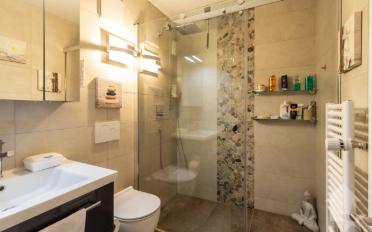 Attic flat 5.5 rooms - image - 12