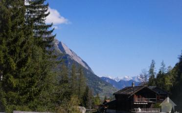 Chalet 6 rooms - image - 8