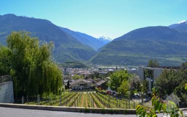 Terrain à bâtir - image - 5