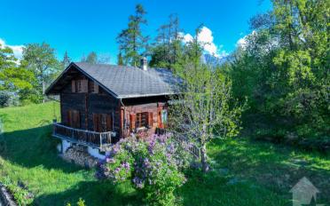 Chalet 6.5 rooms - image - 1
