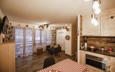 Appartement meublé 1.5 pièces - image - 3
