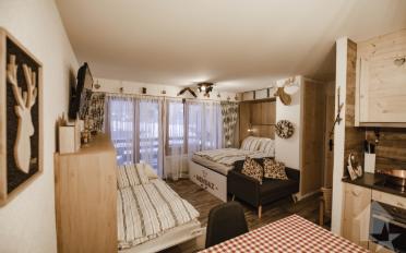 Appartement meublé 1.5 pièces - image - 9