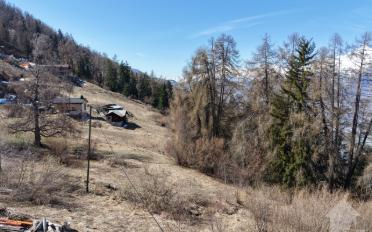 Chalet 6.5 Zimmer - image - 1