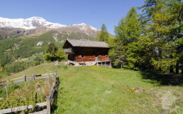 Chalet 4.5 Zimmer - image - 1