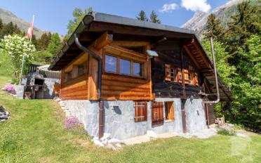 Chalet 4 Zimmer - image - 1