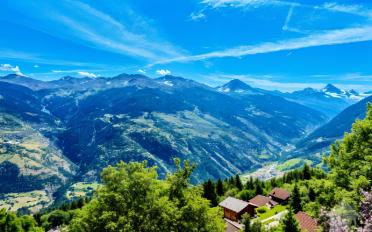 Chalet 4 rooms - image - 2