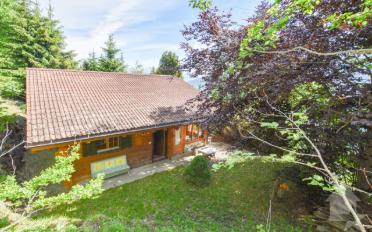 Chalet 4 rooms - image - 3