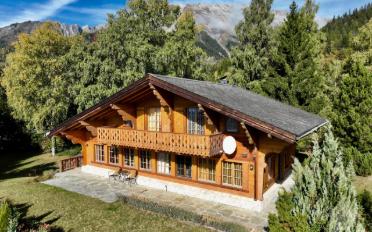 Chalet 5.5 pièces - image - 4