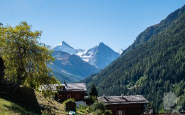 Bauland - image - 4