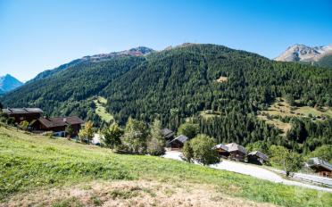 Bauland - image - 6