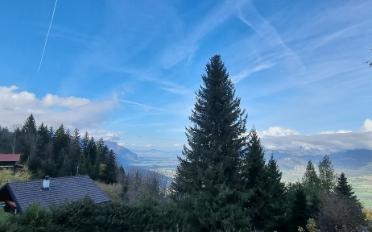 Chalet 4.5 Zimmer - image - 5