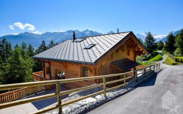 Chalet 7 Zimmer - image - 2