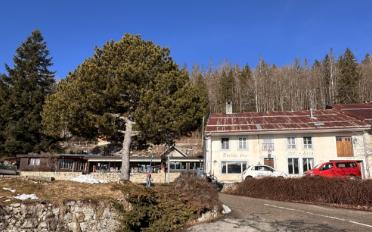 Residential building - image - 8