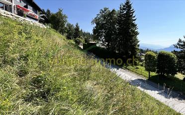 Bauland - image - 5