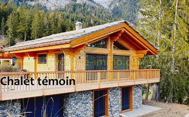 Chalet 4.5 Zimmer - image - 1