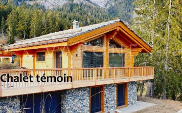 Chalet 4.5 Zimmer - image - 1