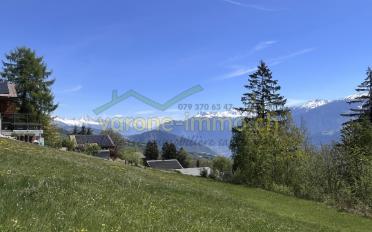 Building land - image - 1