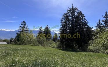 Building land - image - 2