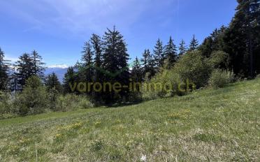 Building land - image - 4