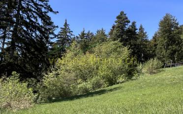 Building land - image - 5