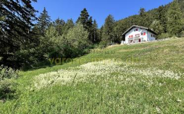 Building land - image - 6