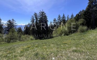 Bauland - image - 4