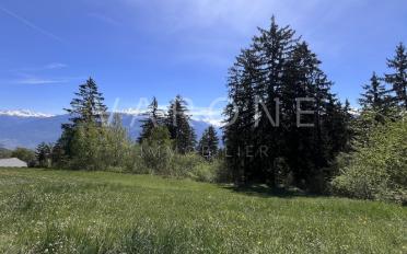 Bauland - image - 2