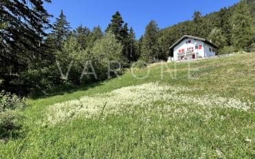 Bauland - image - 6