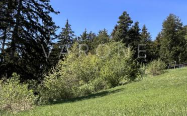 Bauland - image - 5
