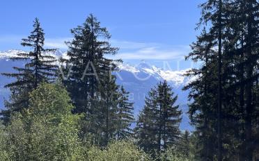 Bauland - image - 3