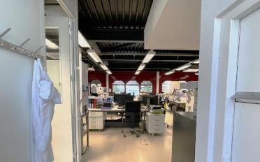 Workshop - image - 4