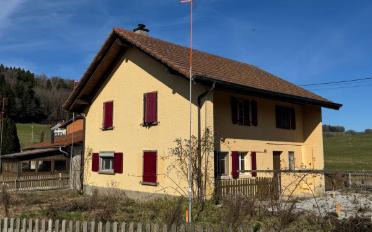 Einfamilienhaus 5.5 Zimmer - image - 1