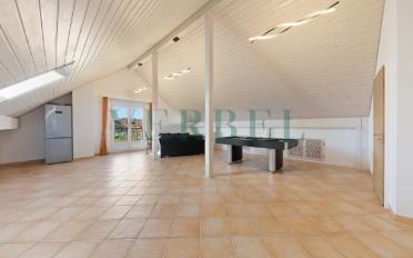 Attic flat 5.5 rooms - image - 10