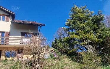 Maison jumelée 5.5 pièces - image - 5
