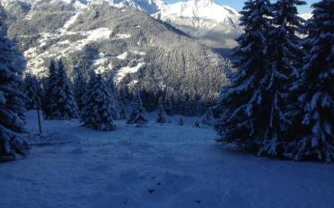 Chalet 8 pièces - image - 10