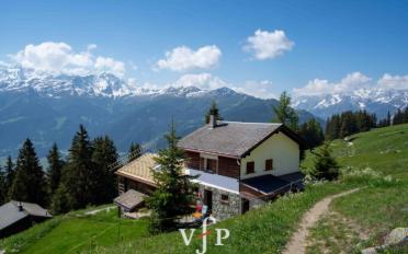 Chalet 4.5 Zimmer - image - 1