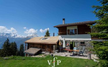 Chalet 4.5 Zimmer - image - 3