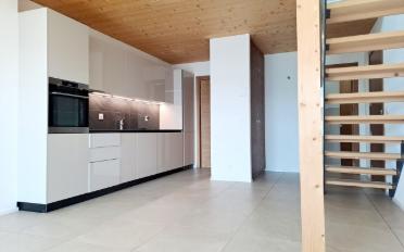 Loft 1 pièce - image - 2