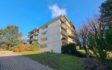 Wohnung 2.5 Zimmer - image - 7