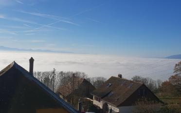 Wohnung 4.5 Zimmer - image - 12