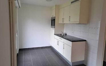 Appartement 2.5 pièces - image - 2