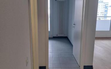 Wohnung 2.5 Zimmer - image - 7