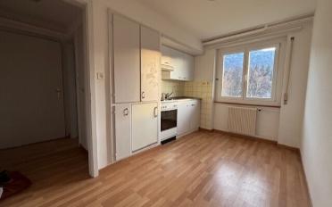 Appartement 1 pièce - image - 1