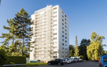 Wohnung 2.5 Zimmer - image - 1