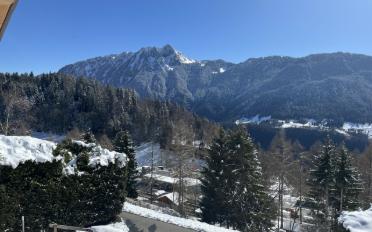 Chalet 5 rooms - image - 8