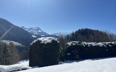 Chalet 5 rooms - image - 9