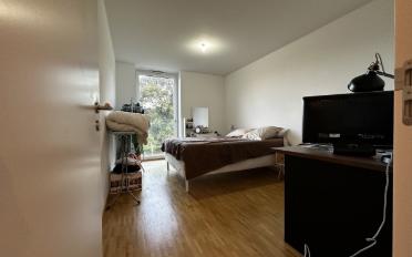 Wohnung 3.5 Zimmer - image - 8