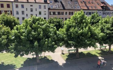 Wohnung 3 Zimmer - image - 8