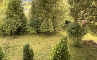 Chalet 4.5 Zimmer - image - 3
